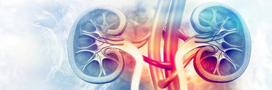 kidney disease stages